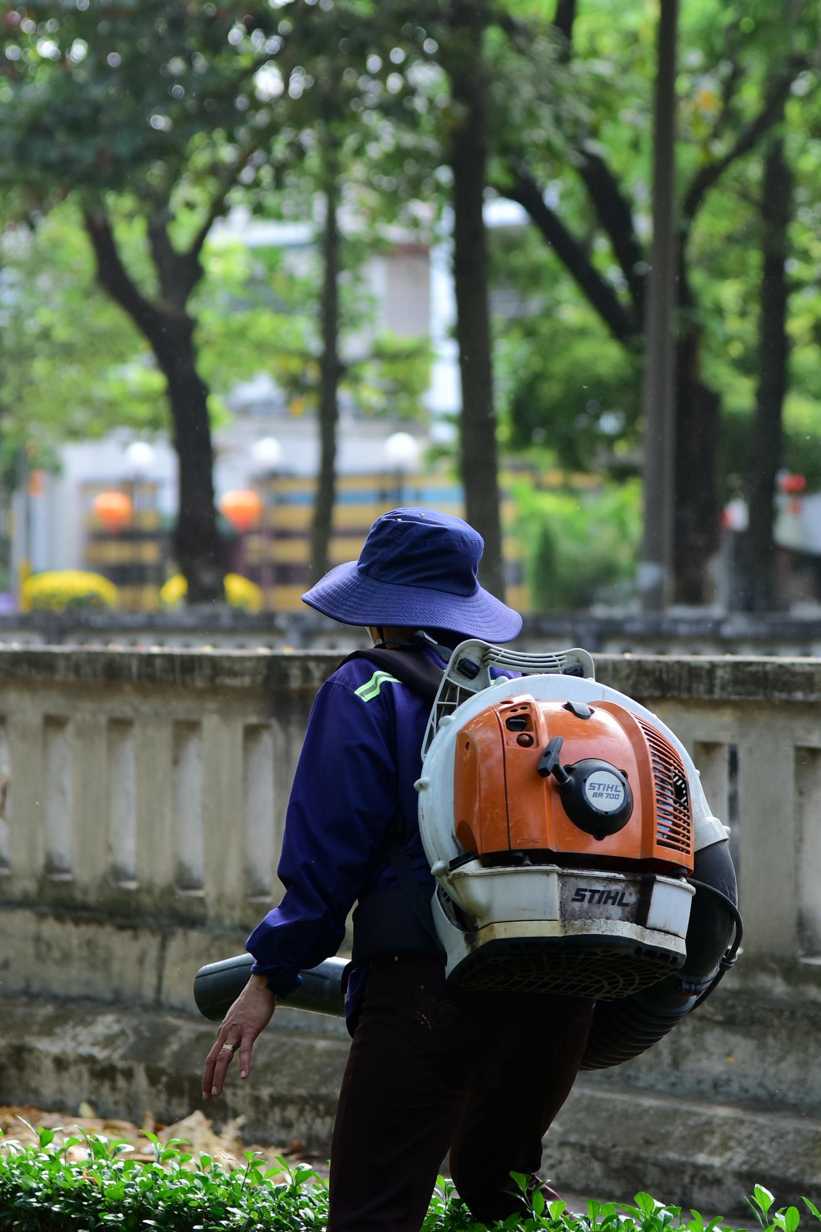 Backpack blower clearing oak-leaf drop into a tidy pile on a residential lawn.
