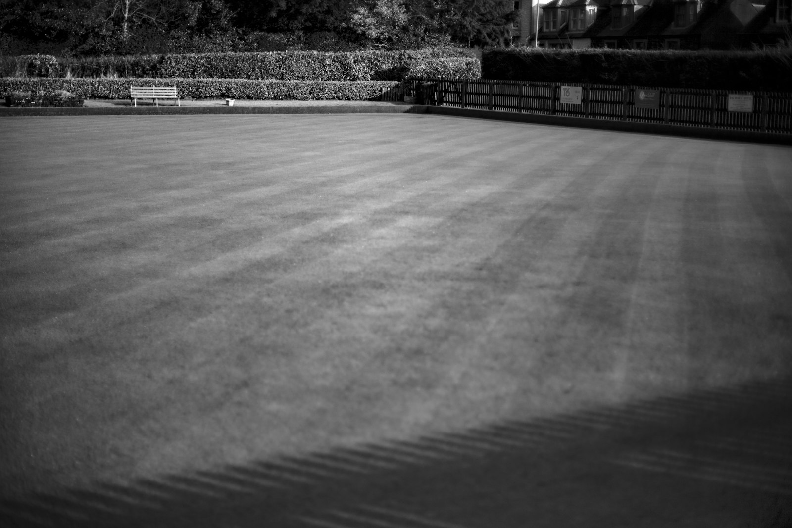 A diagonal stripe pattern mowed into a deep-green St. Augustine lawn.